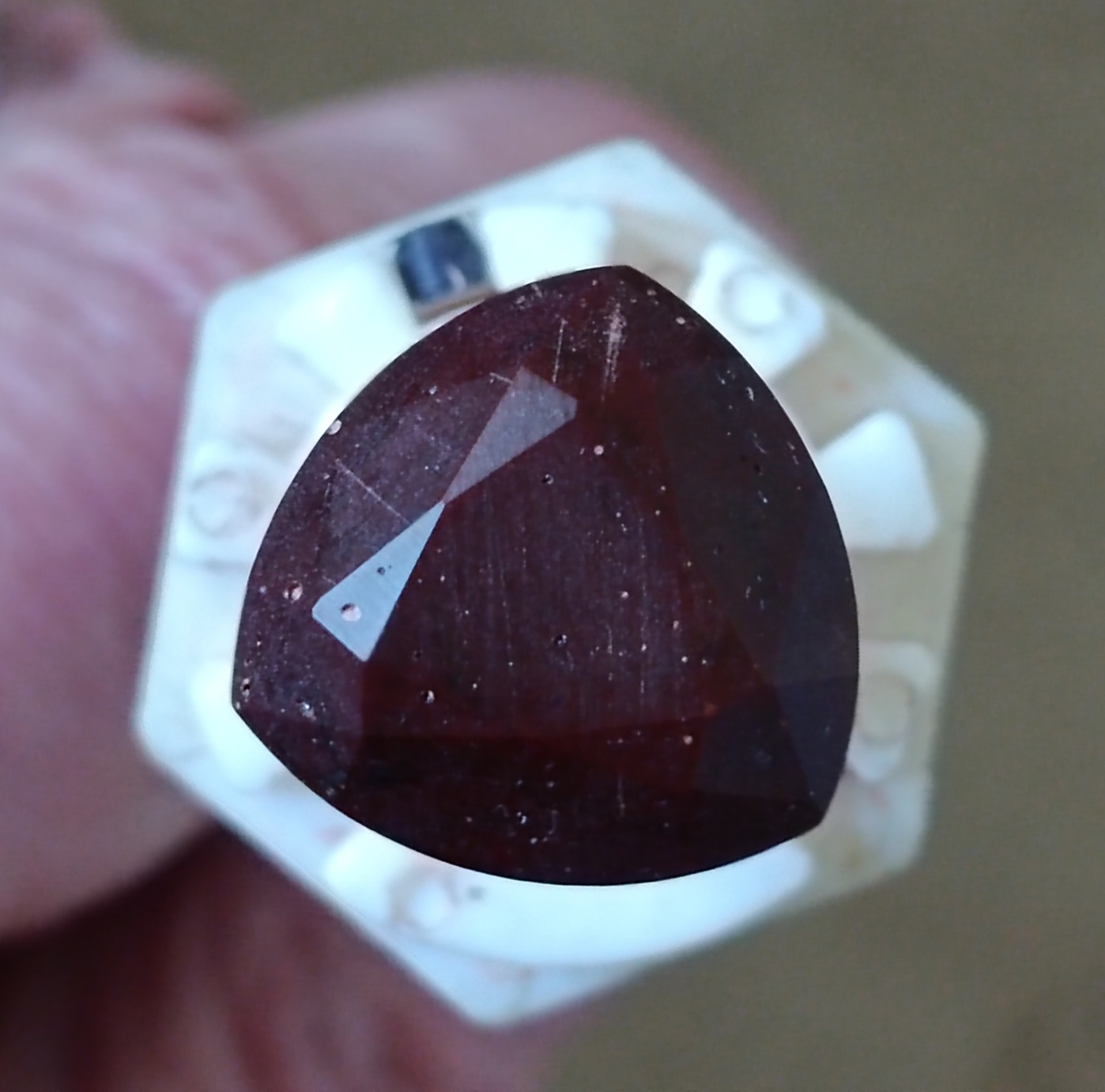 Trilliant dop 48index